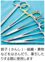 inguinalhernia-treatment_img3